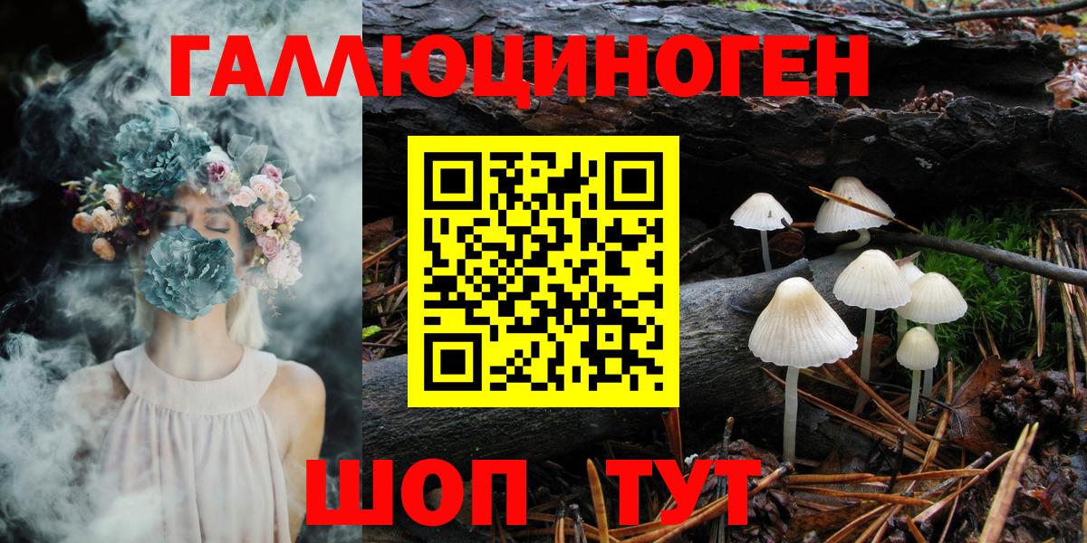 Псилоцибиновые грибы Psilocybe Клинцы
