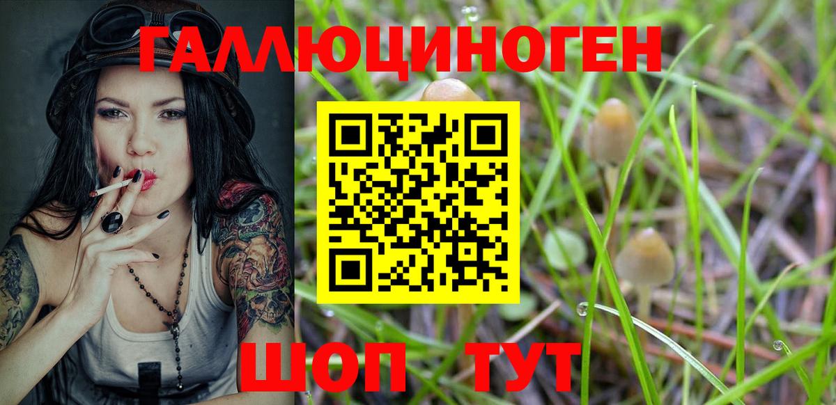 Клинцы  Галлюциногенные грибы GOLDEN TEACHER  Вход с VPN 